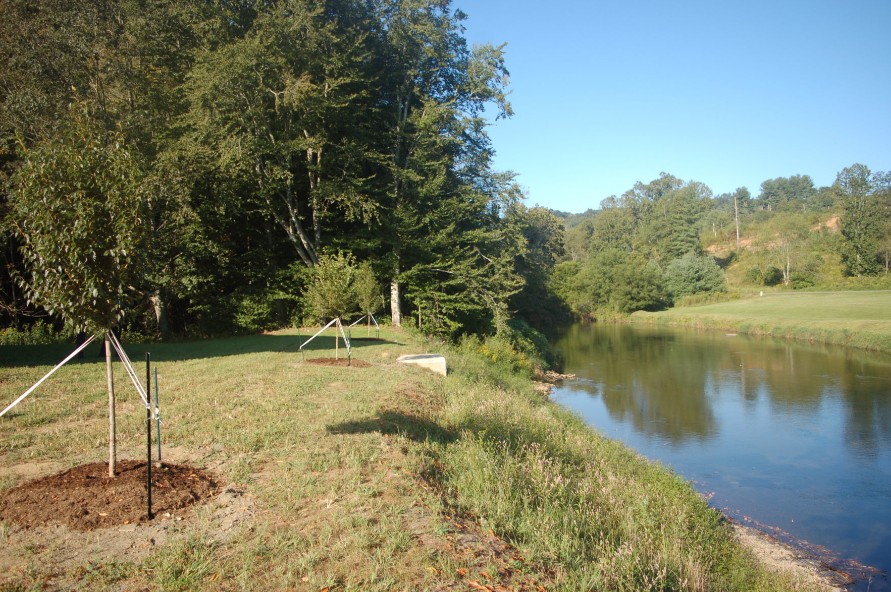 DSC_3007.JPG